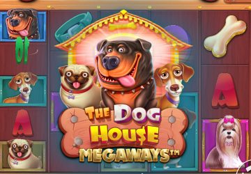 Microgaming - игровой автомат онлайн от Various с RTP 95.11%